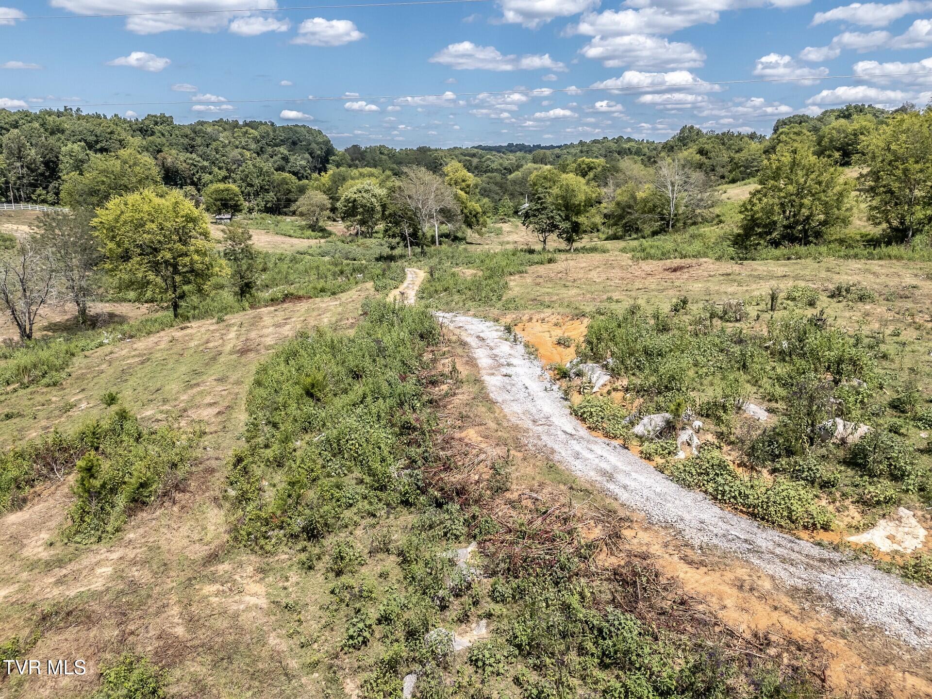 241 East Stage Coach Road Greeneville, TN 37743 - Photo 55 of 67 thumbnail_241StagecoachG_068