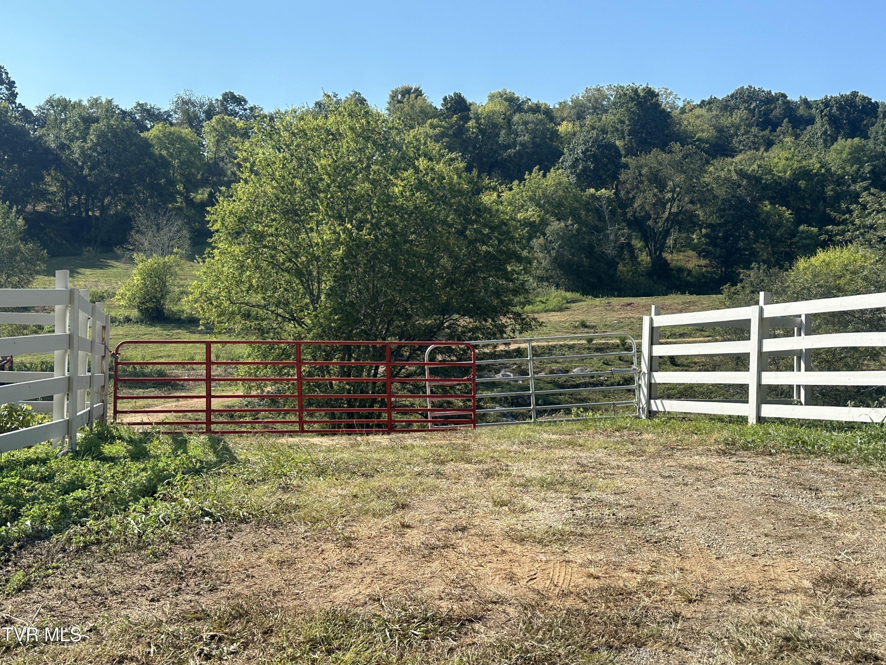 241 East Stage Coach Road Greeneville, TN 37743 - Photo 6 of 67 IMG_9402