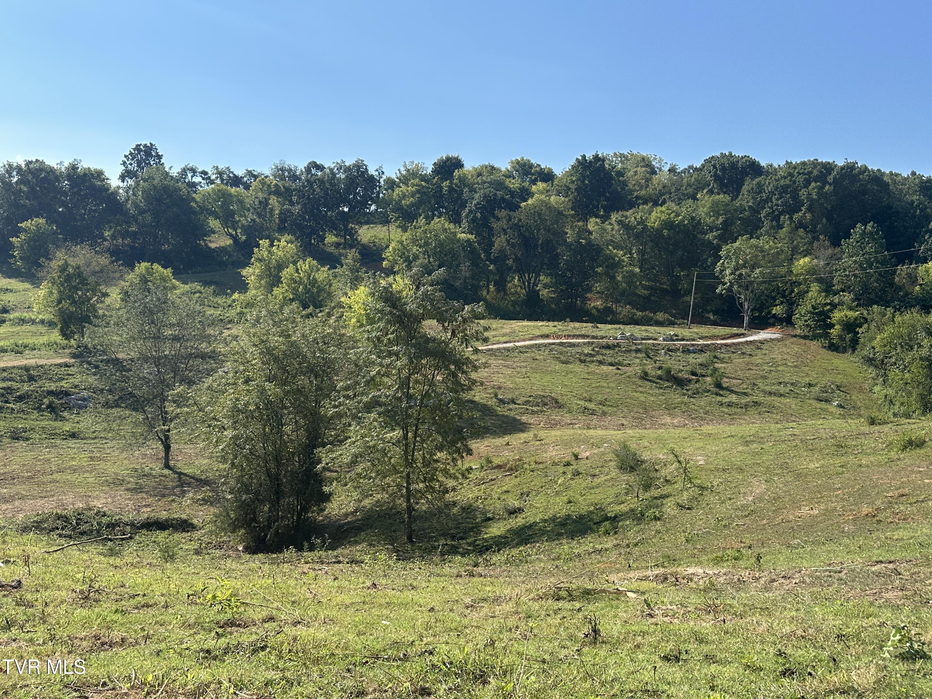 241 East Stage Coach Road Greeneville, TN 37743 - Photo 64 of 67 IMG_9404