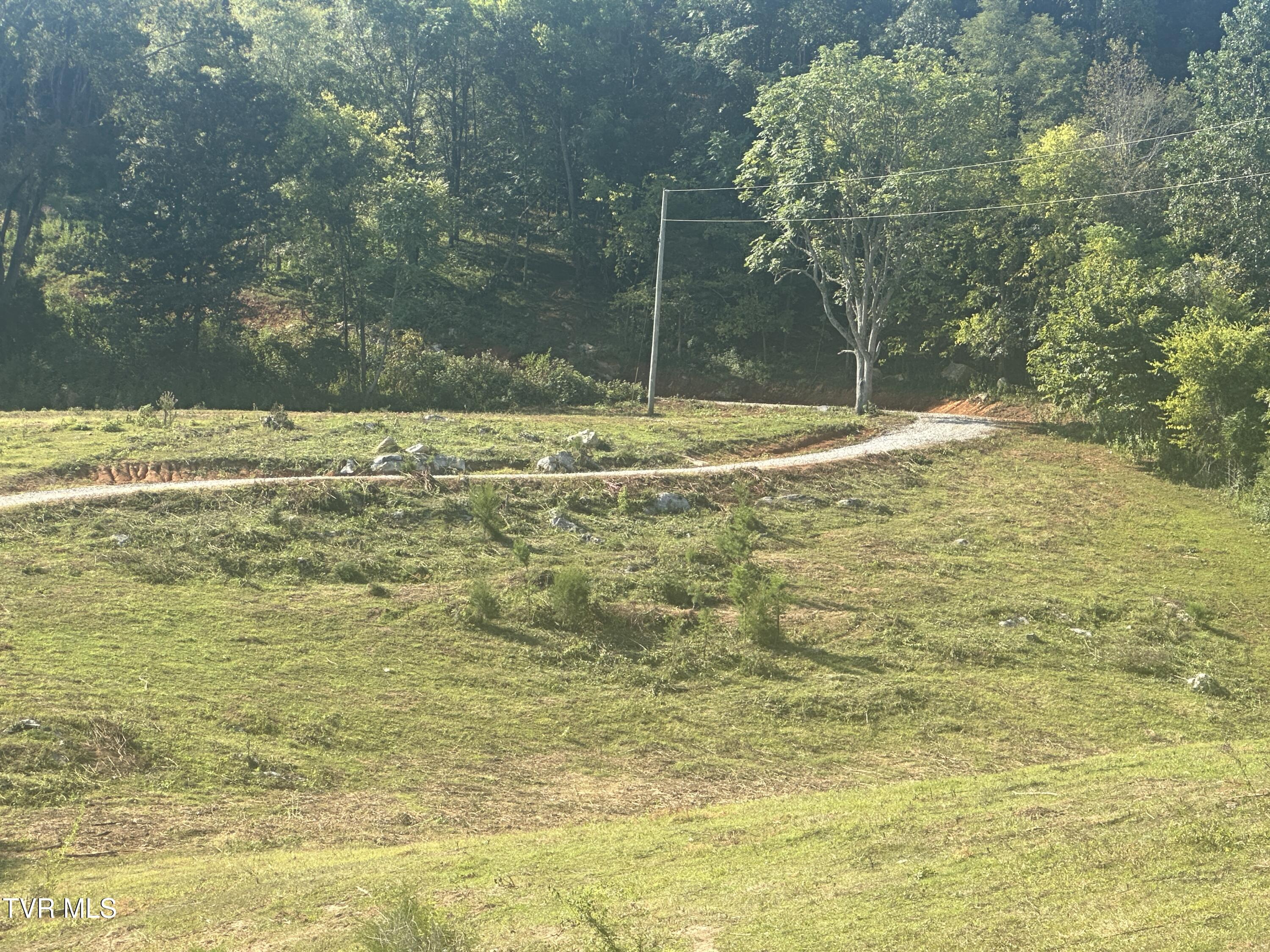 241 East Stage Coach Road Greeneville, TN 37743 - Photo 65 of 67 IMG_9403