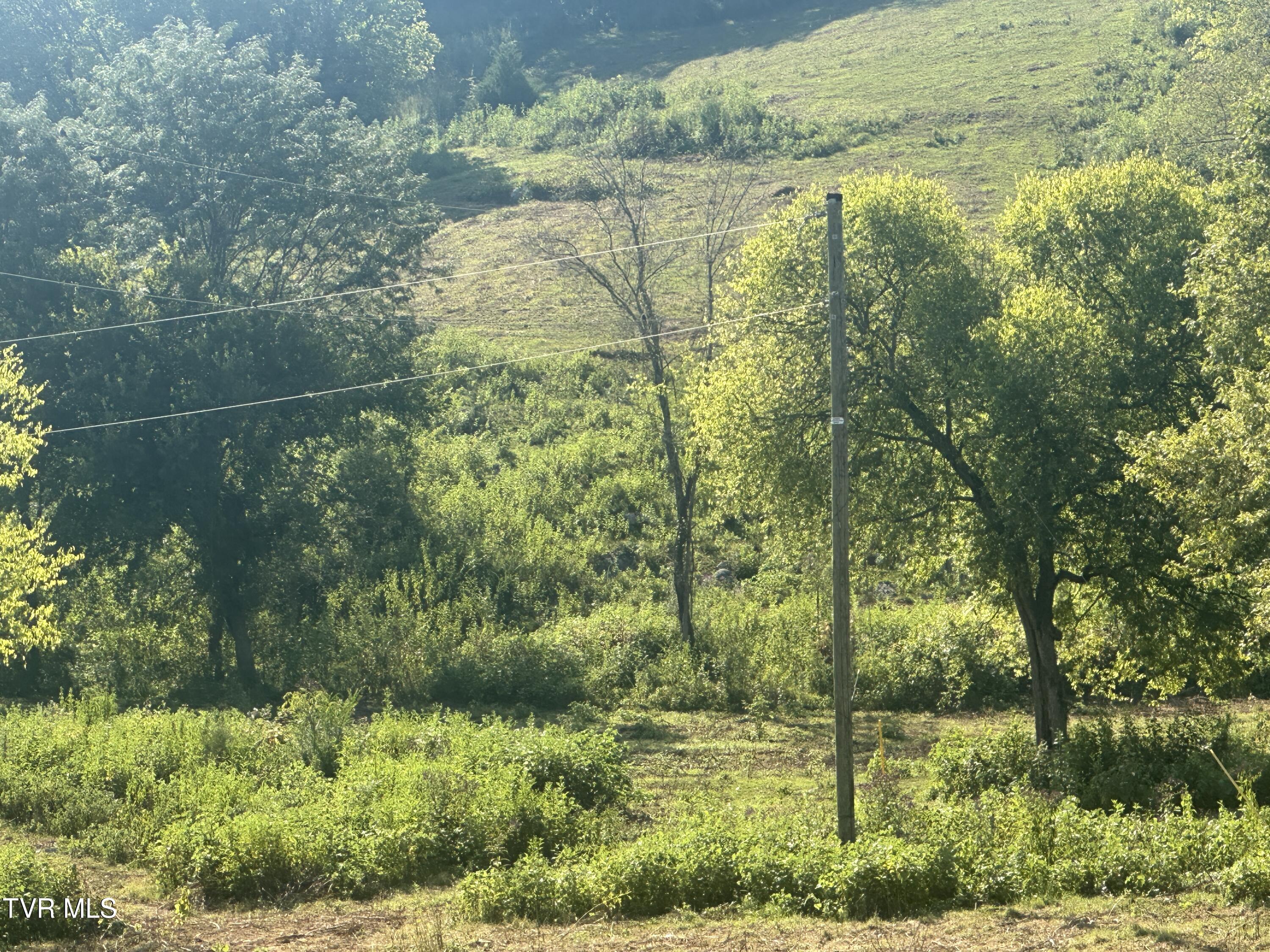 241 East Stage Coach Road Greeneville, TN 37743 - Photo 66 of 67 IMG_9408