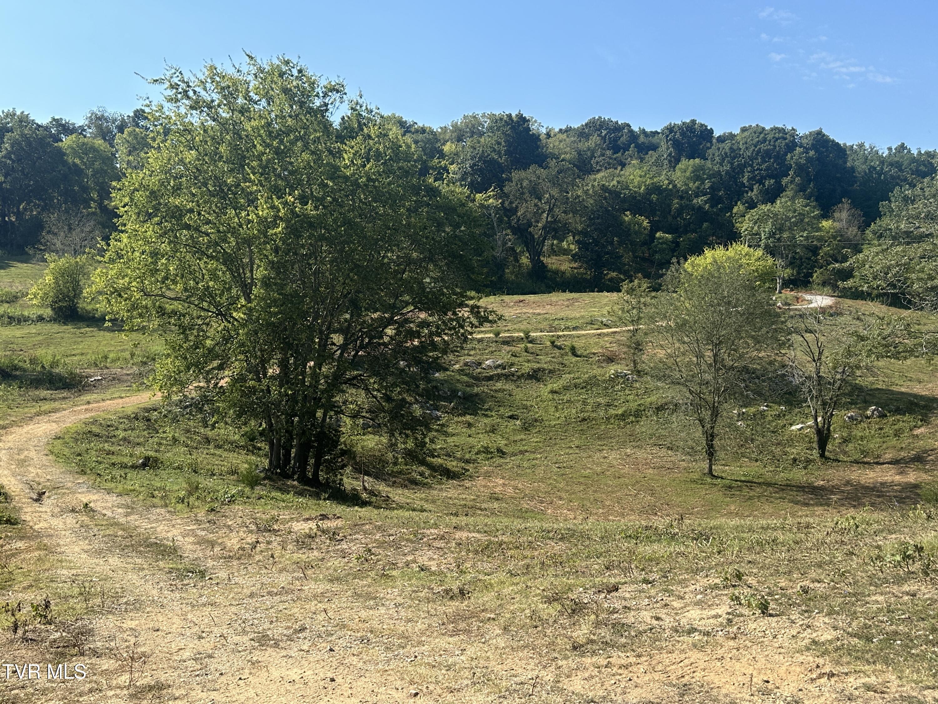 241 East Stage Coach Road Greeneville, TN 37743 - Photo 67 of 67 IMG_9409