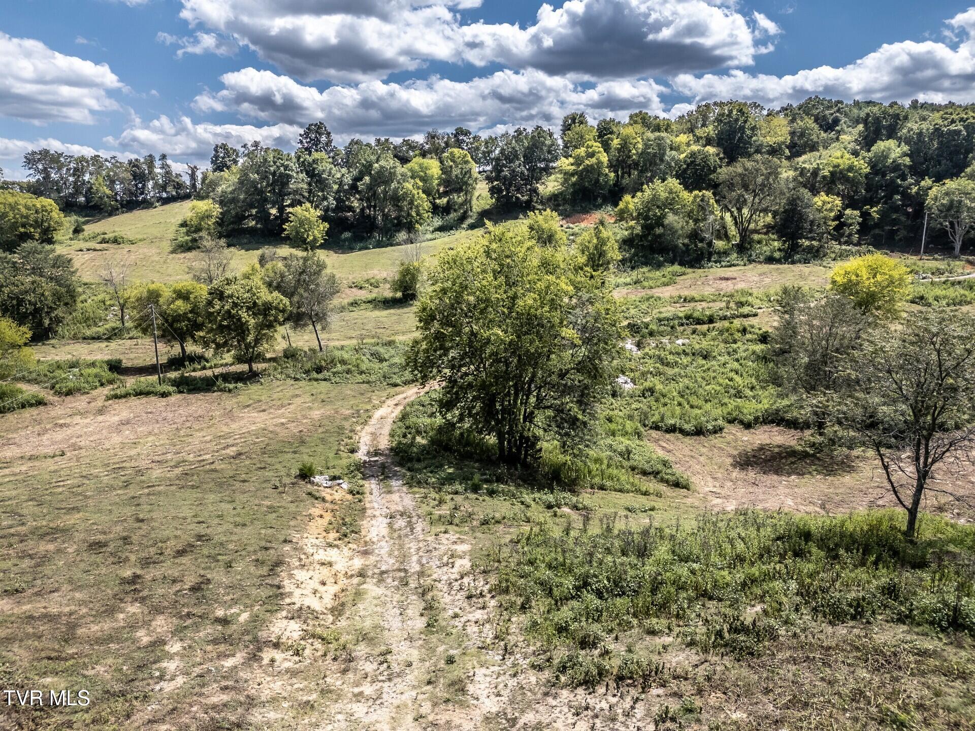 241 East Stage Coach Road Greeneville, TN 37743 - Photo 9 of 67 thumbnail_241StagecoachG_001