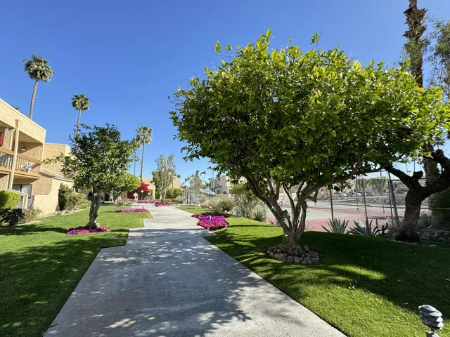 a view of a park with plants and trees