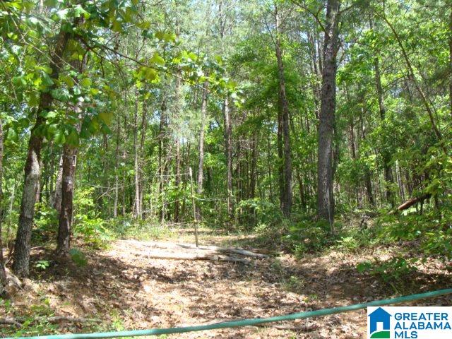 0 Stipes Road, Unit ACREAGE West Blocton, AL 35184 - Photo 5 of 6