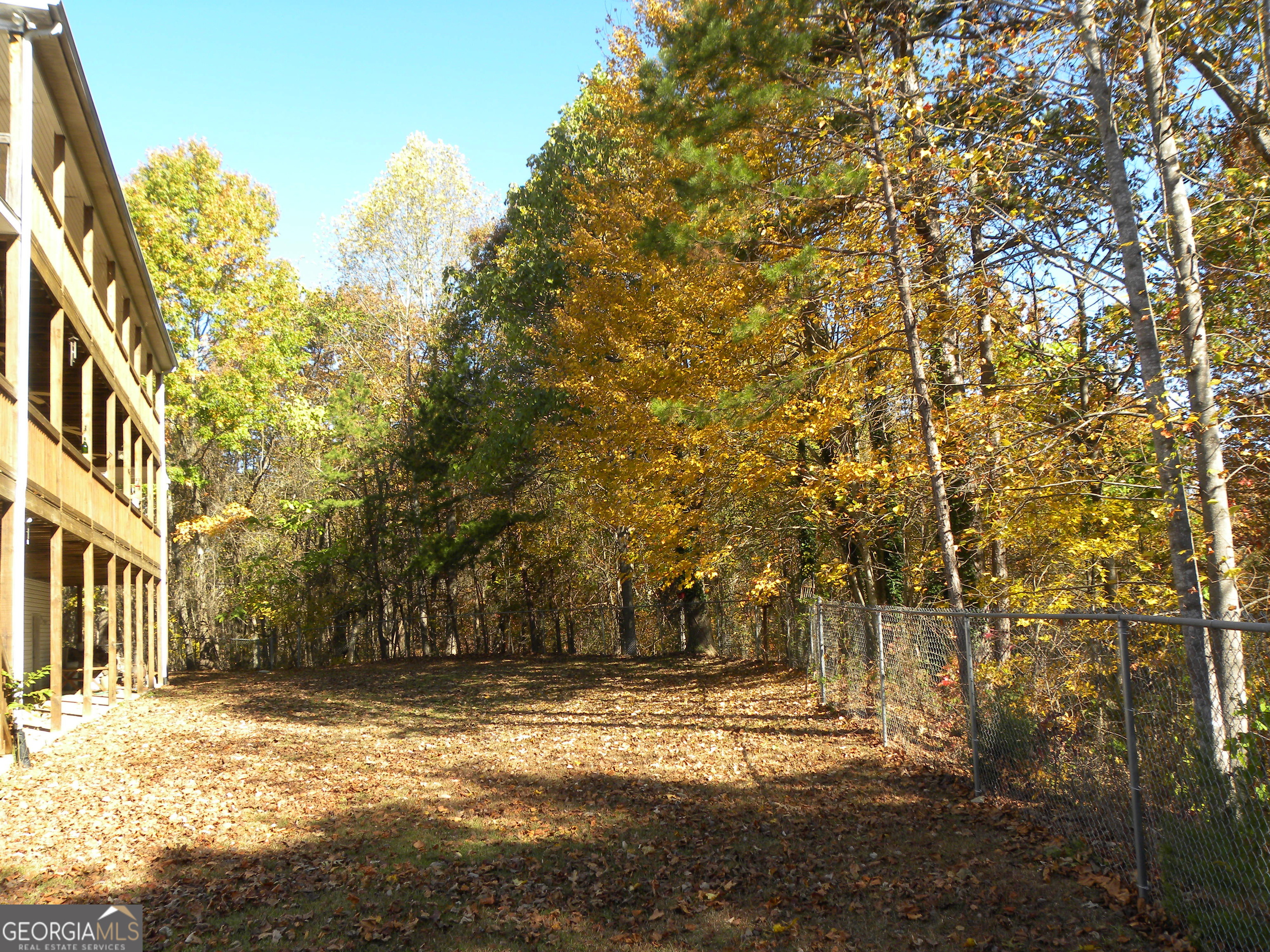2484 Apple Pie Ridge Road, Unit 11 Alto, GA 30510 - Photo 58 of 95 a view of a yard with plants and trees