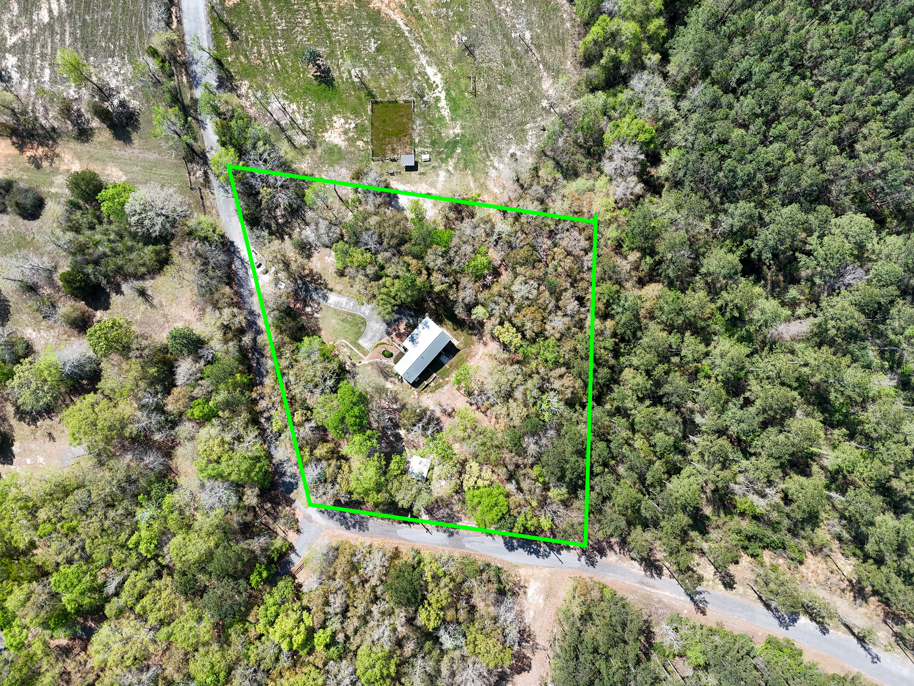 211 Lester Price Road Ponce de Leon, FL 32455 - Photo 41 of 63 a view of a forest with a tree