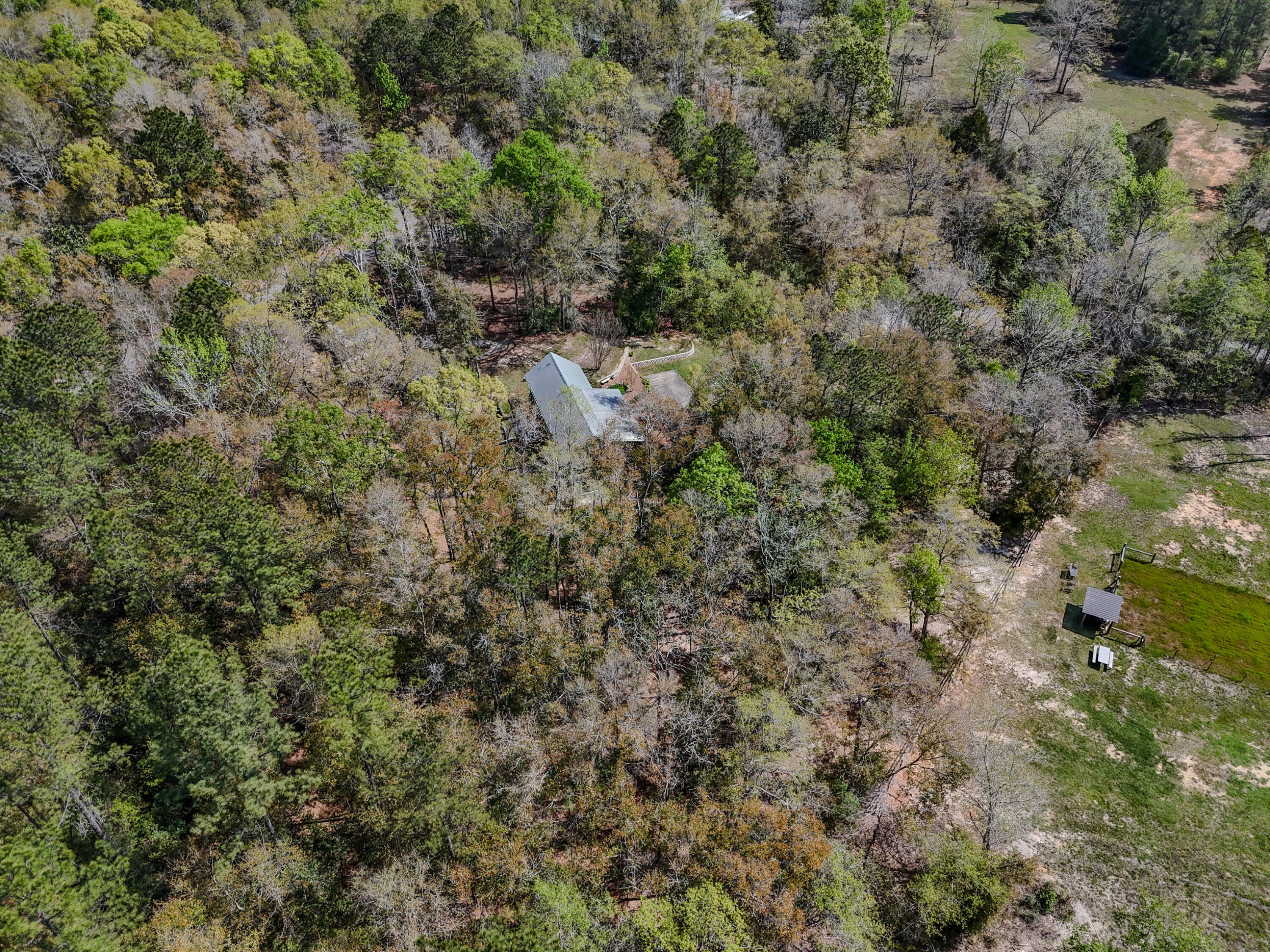211 Lester Price Road Ponce de Leon, FL 32455 - Photo 46 of 63 DJI_20260326111402_0026_D