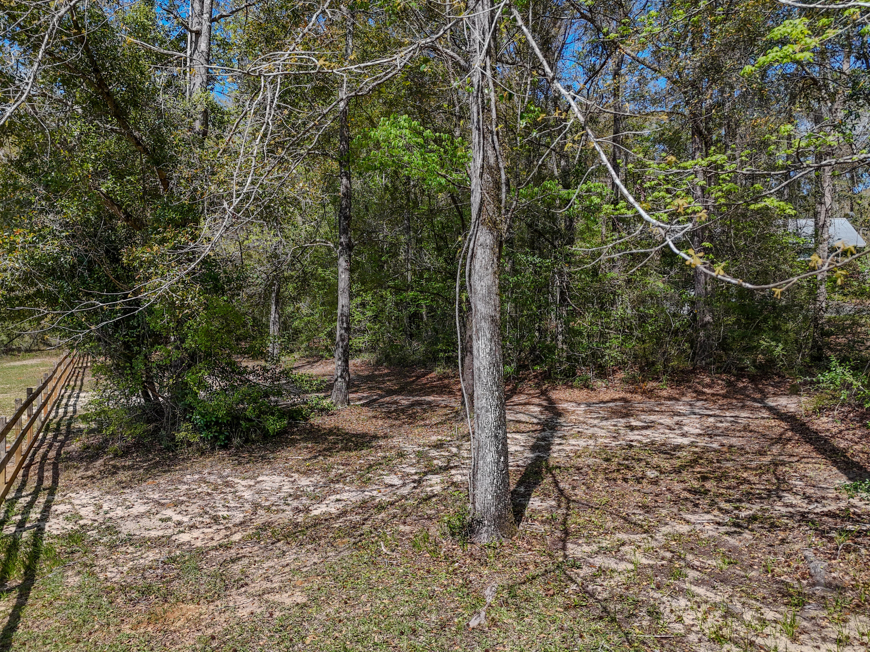 211 Lester Price Road Ponce de Leon, FL 32455 - Photo 50 of 63 a view of a forest filled with trees