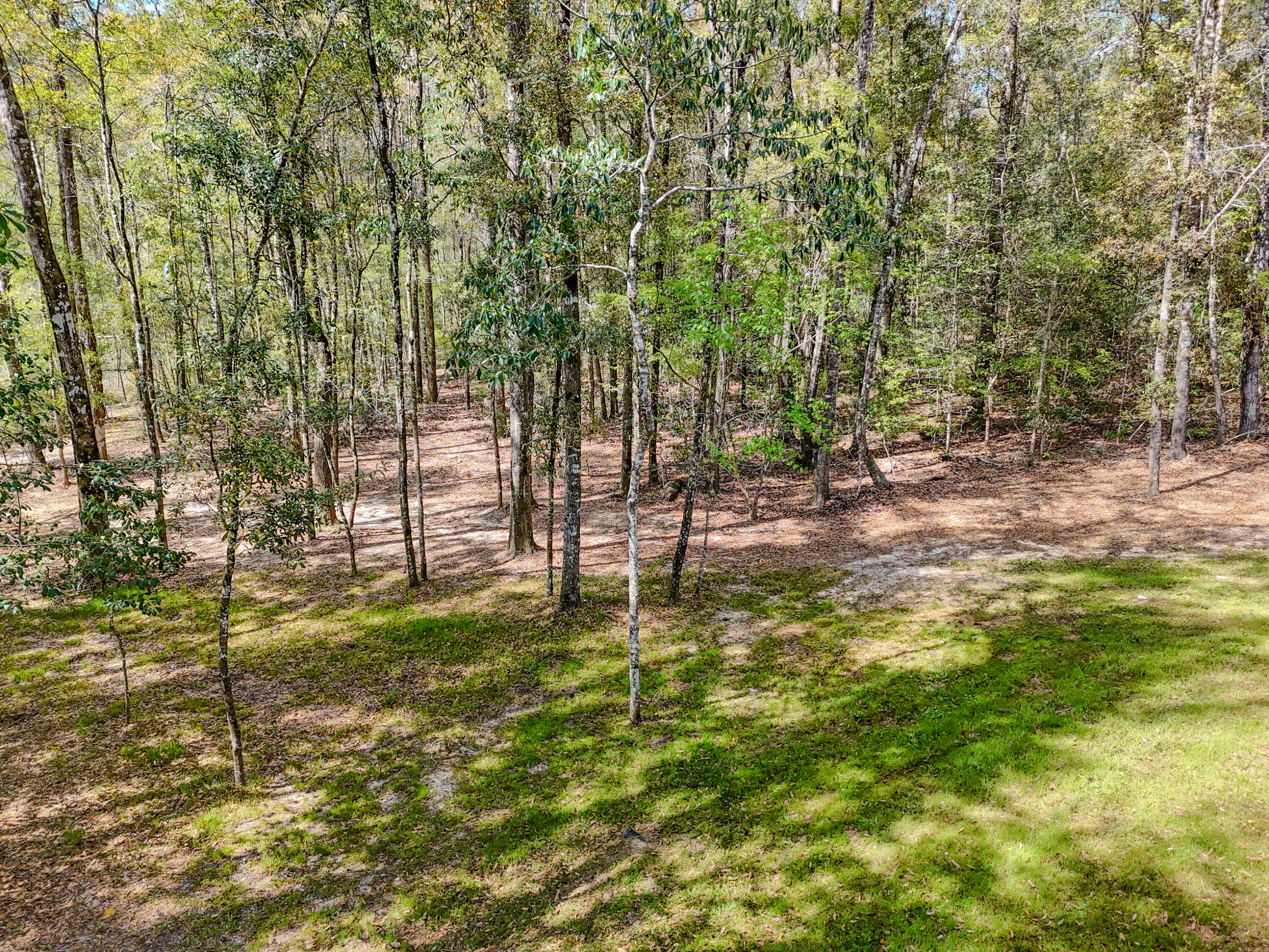 211 Lester Price Road Ponce de Leon, FL 32455 - Photo 52 of 63 a backyard of a house with lots of green space