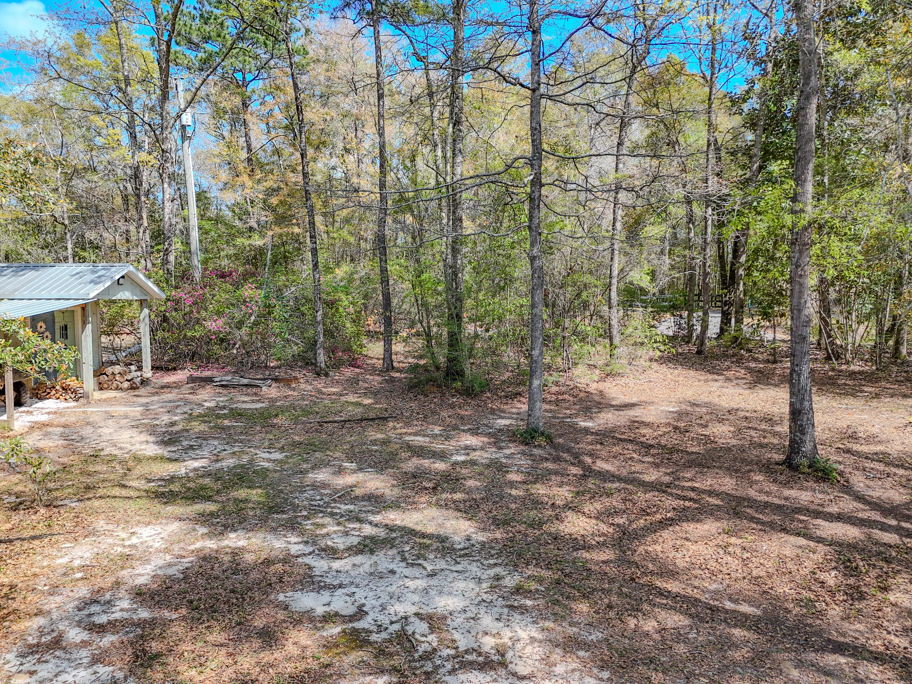 211 Lester Price Road Ponce de Leon, FL 32455 - Photo 56 of 63 a view of a forest with trees