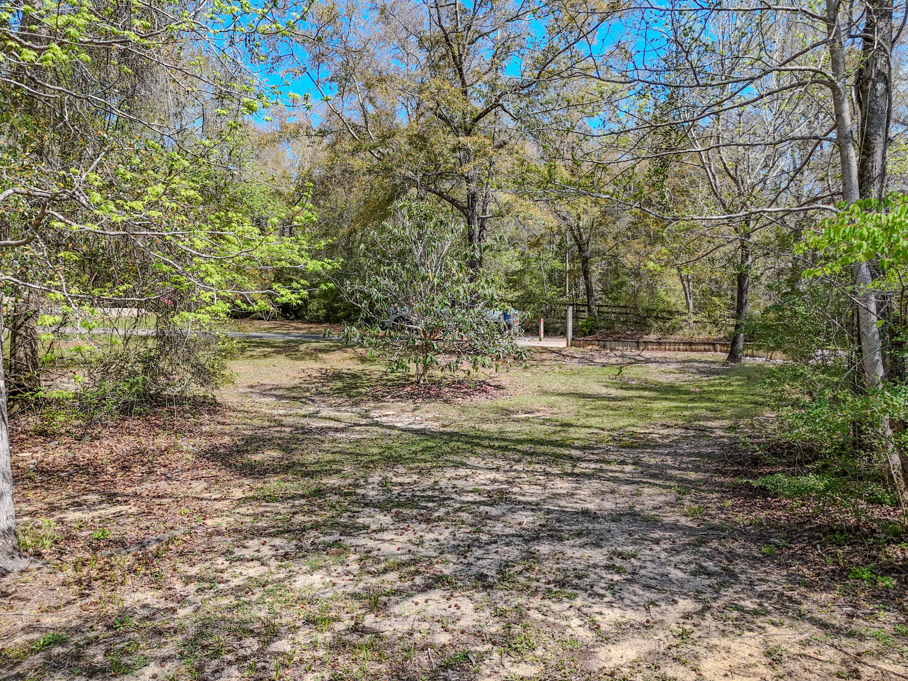 211 Lester Price Road Ponce de Leon, FL 32455 - Photo 62 of 63 a view of a tree with a yard