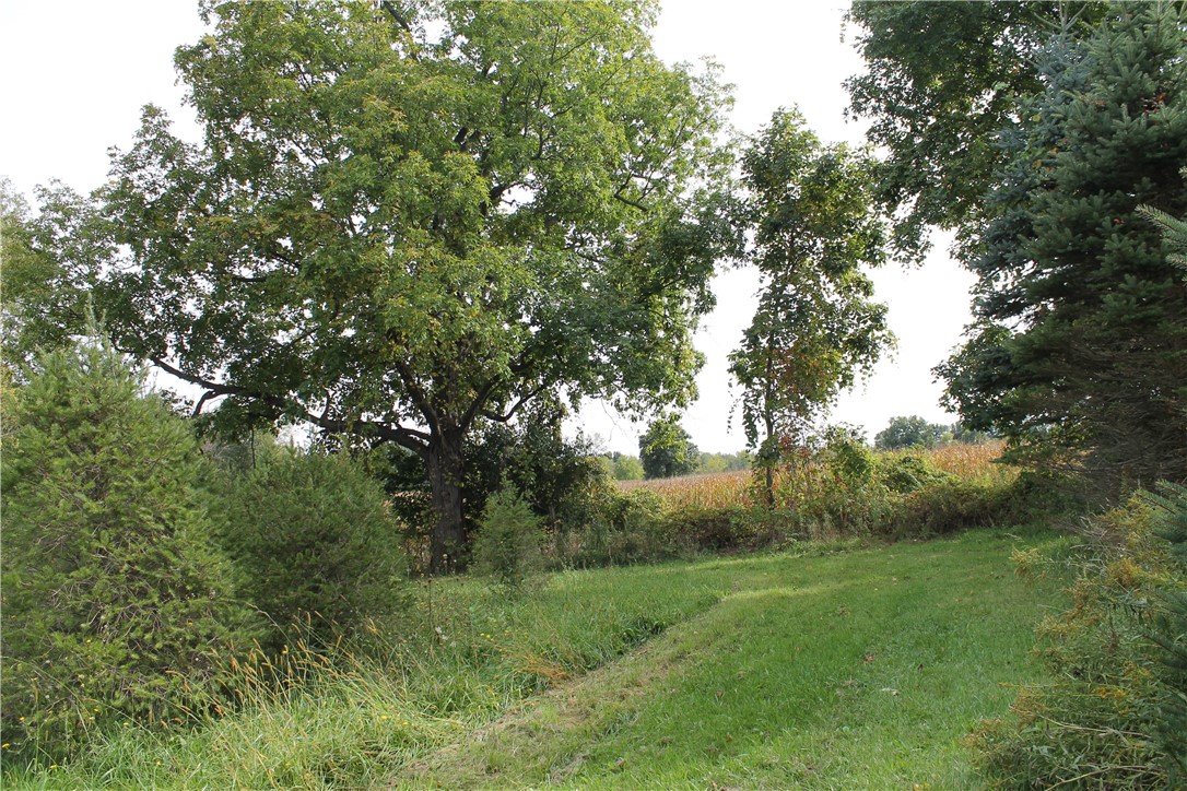 750 Alderman Road Macedon, NY 14522 - Photo 4 of 8