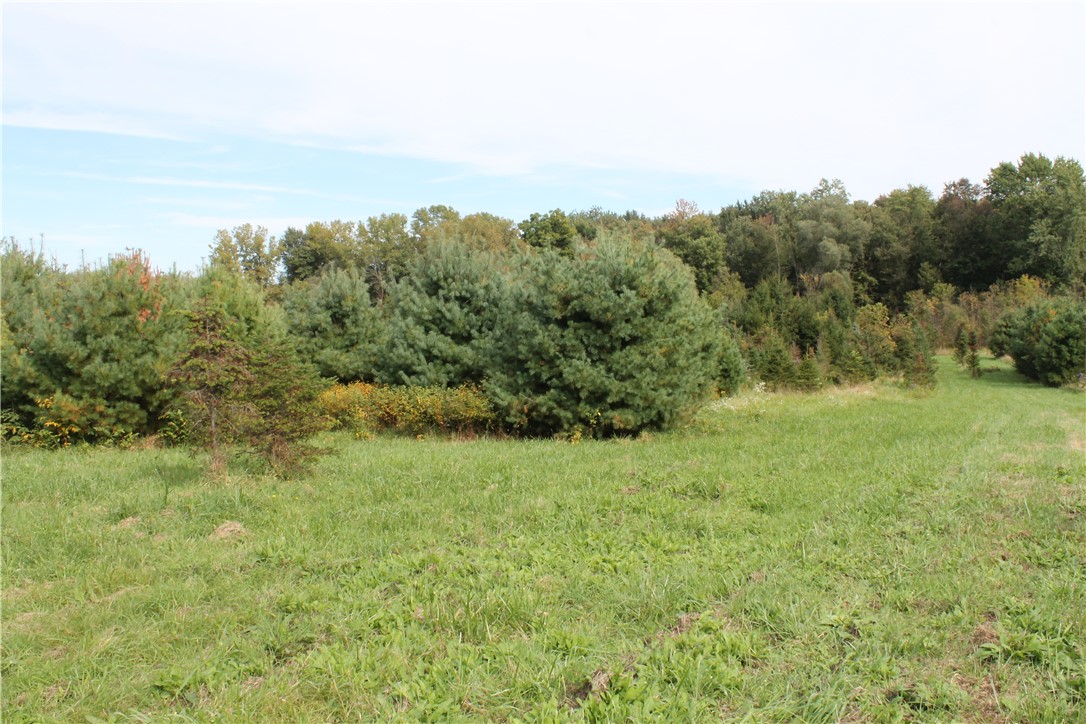 750 Alderman Road Macedon, NY 14522 - Photo 5 of 8