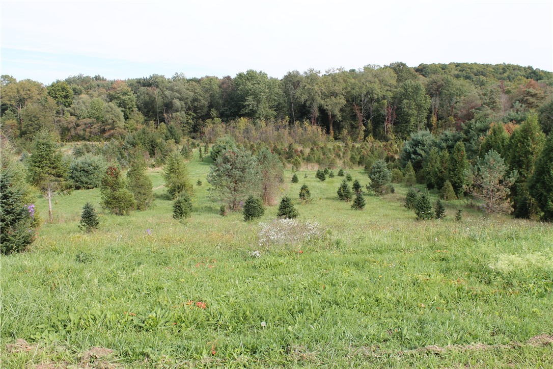 750 Alderman Road Macedon, NY 14522 - Photo 7 of 8