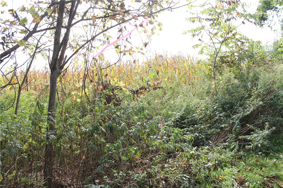 750 Alderman Road Macedon, NY 14522 - Photo 8 of 8