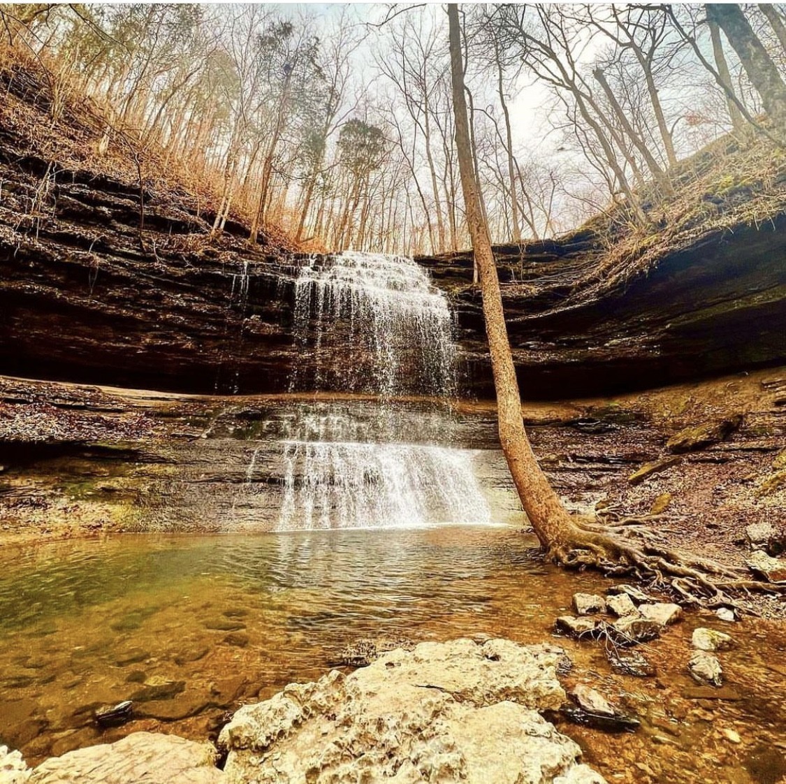 2136 Cheltenham Place Columbia, TN 38401 - Photo 24 of 31 a view of swimming pool with a yard