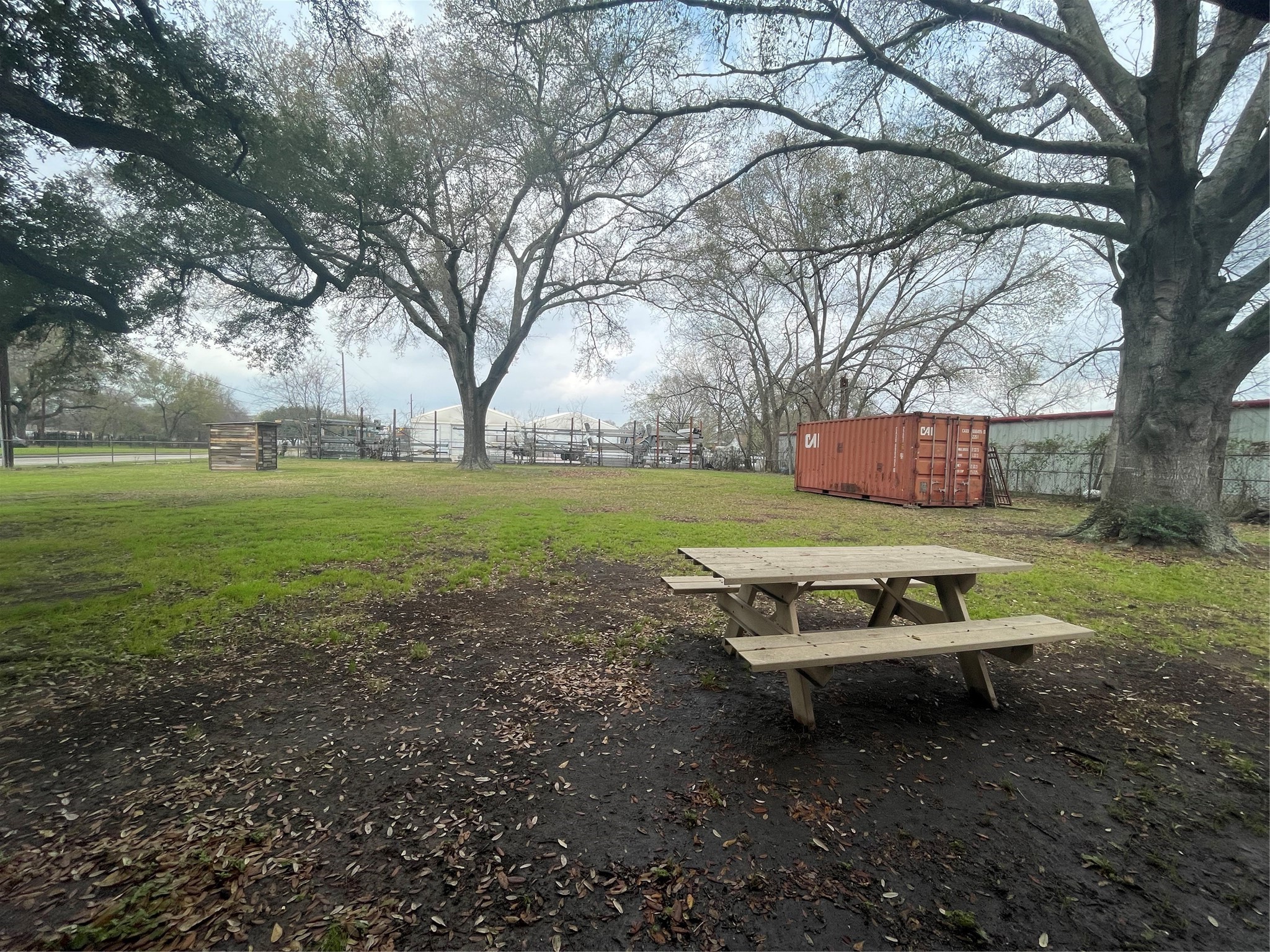 5930 Killough Street Houston, TX 77086 - Photo 6 of 6 a view of a yard with large tree