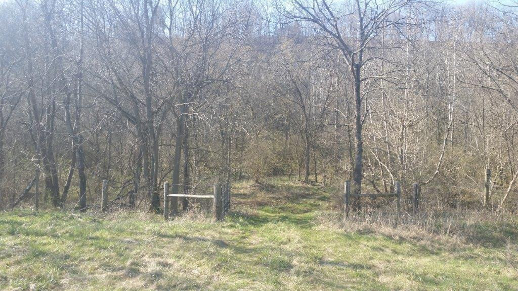 6915 Four Mile Road Winchester, KY 40391 - Photo 20 of 22 Photo 20