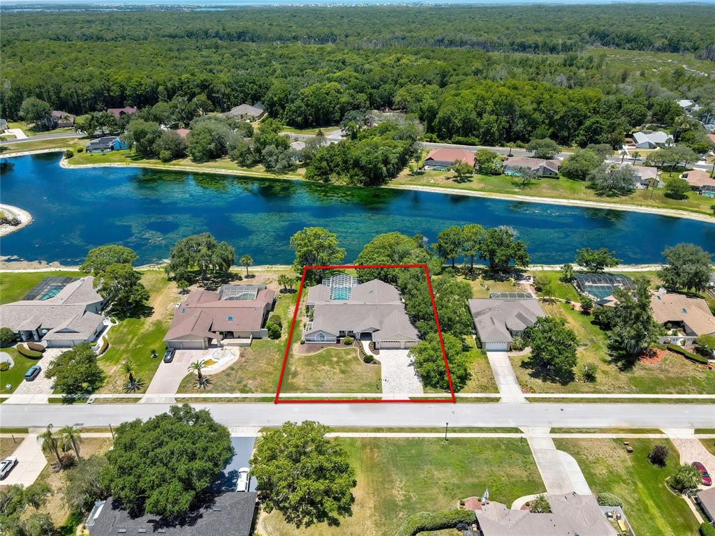 4293 River Birch Drive Spring Hill, FL 34607 - Photo 3 of 79