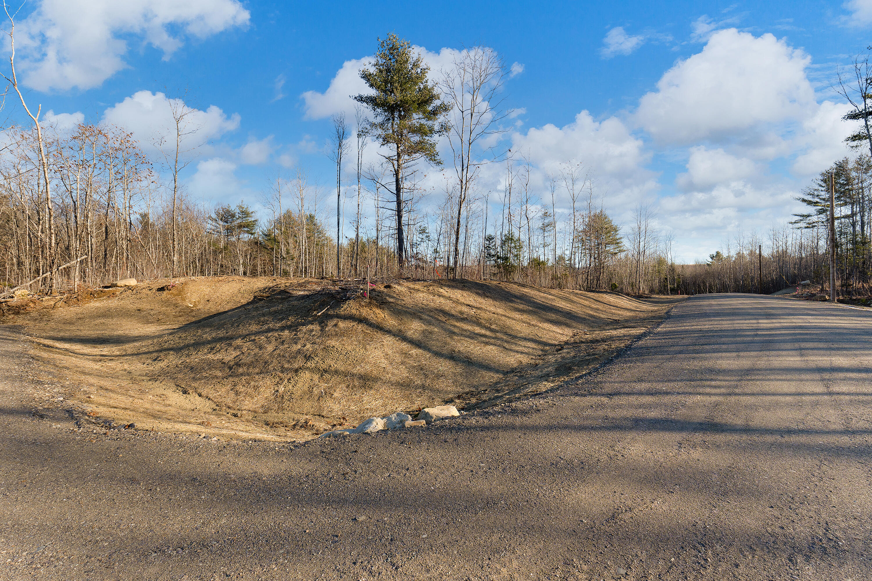 Lot 6 Pine Hill Road Palermo, ME 04354 - Photo 3 of 15 0137 - Lot 06