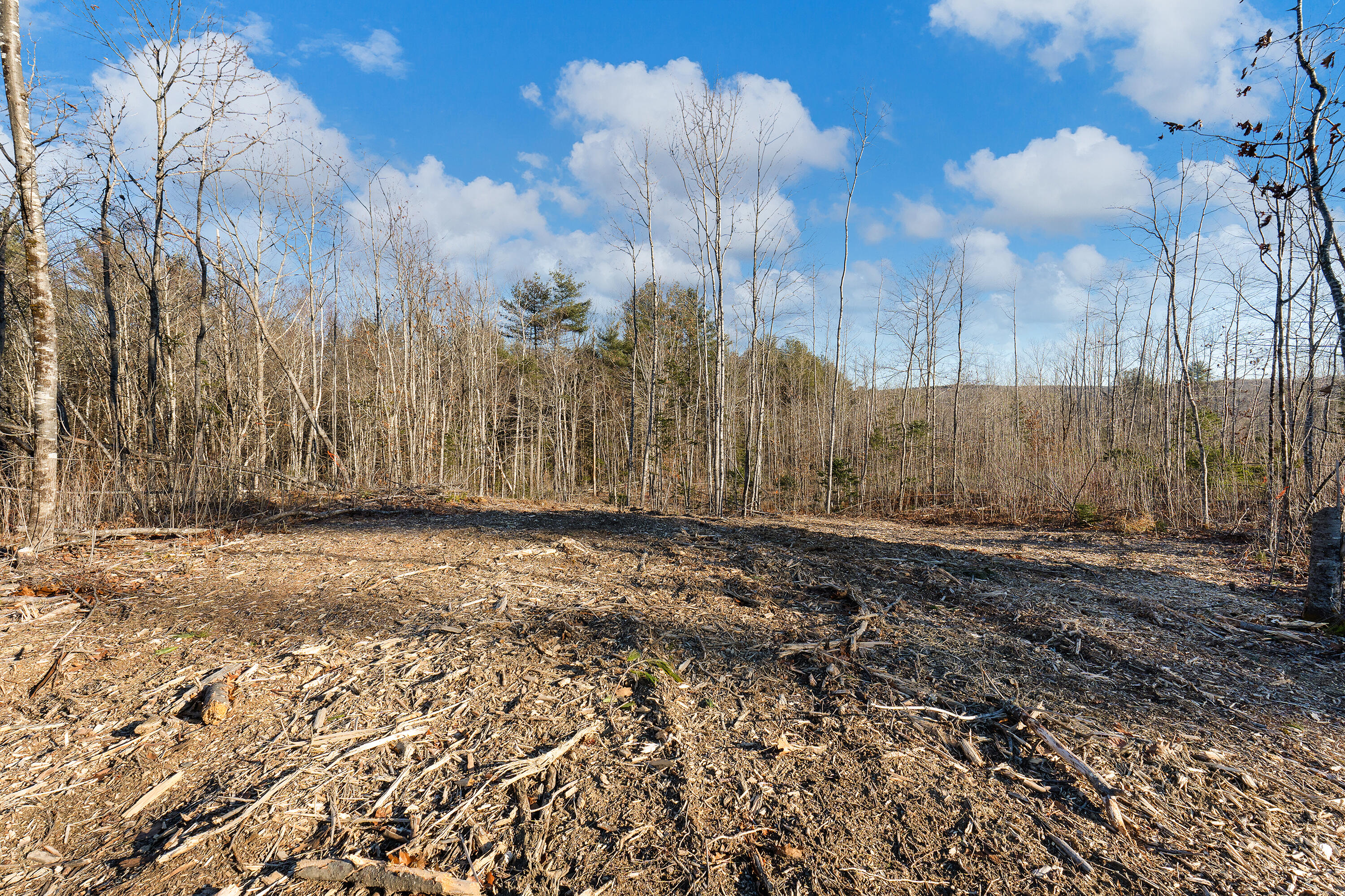 Lot 6 Pine Hill Road Palermo, ME 04354 - Photo 4 of 15 0138 - Lot 06