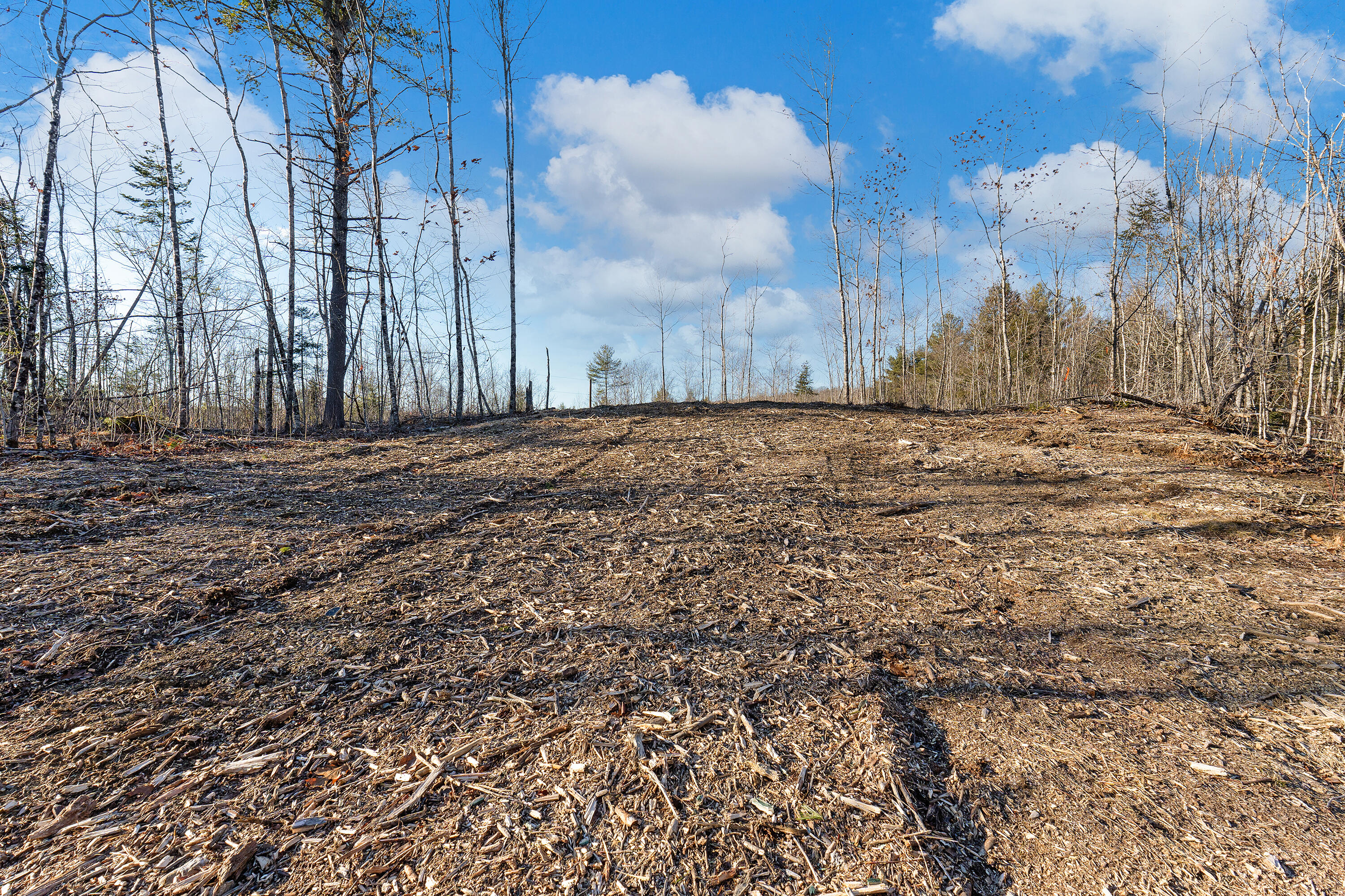 Lot 6 Pine Hill Road Palermo, ME 04354 - Photo 5 of 15 0139 - Lot 06