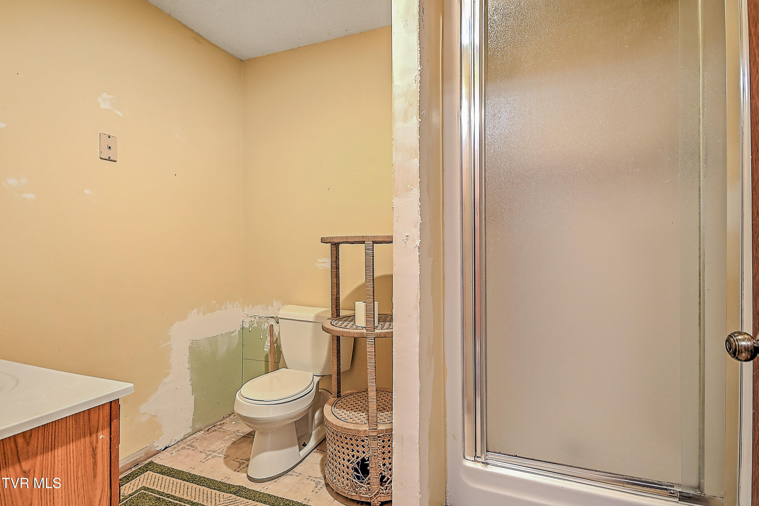 423 Kendricks Hollow Road Bristol, TN 37620 - Photo 38 of 64 423 Kendricks Hollow TV-54