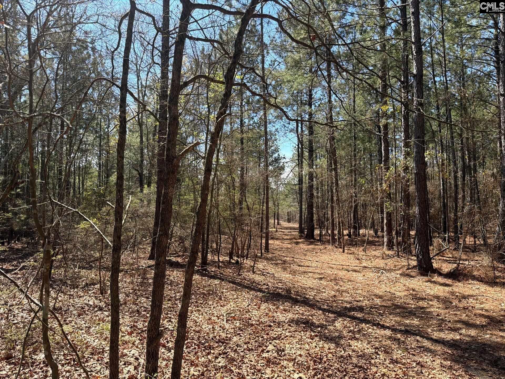 11 Boise Cascade Road, Unit BHL 11 Bethune, SC 29009 - Photo 12 of 24