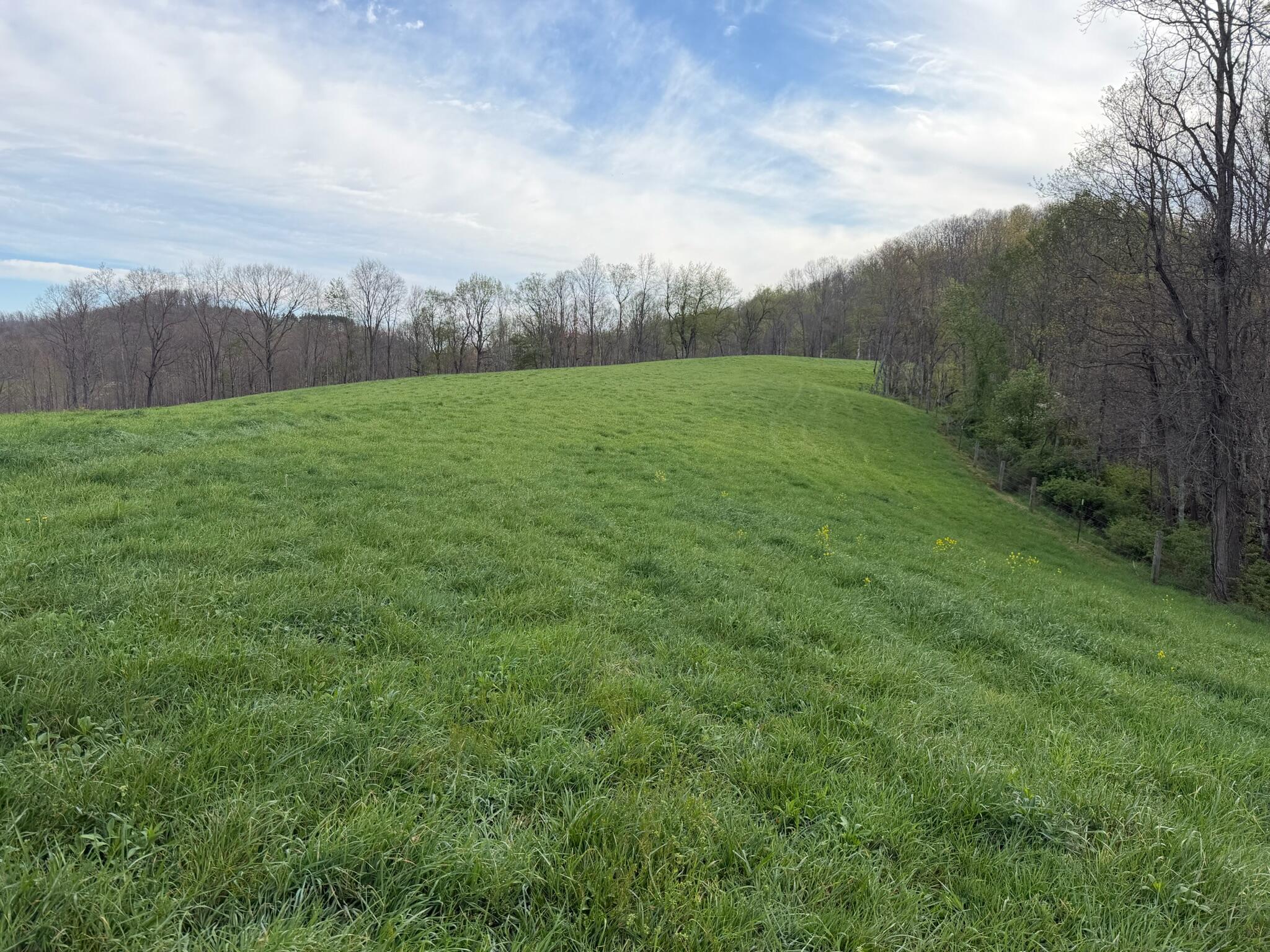 1999 Snake Run Road Alderson, WV 24910 - Photo 4 of 18 Property