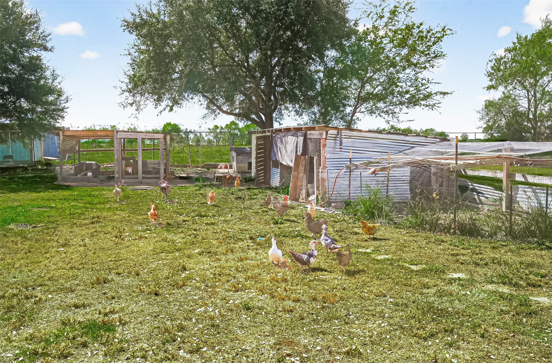 7915 Kirk Road Rosenberg, TX 77471 - Photo 46 of 46 a backyard of a house with lots of green space and fountain