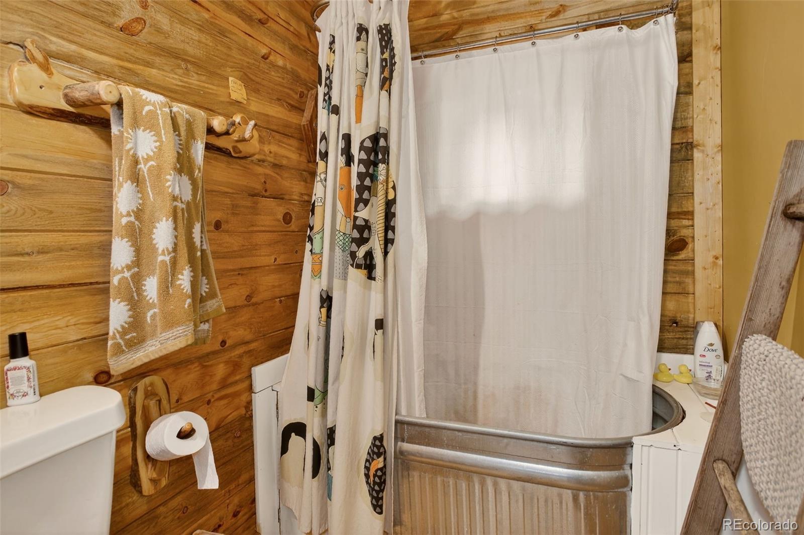 27403 Schuyler Gulch Road Pine, CO 80470 - Photo 11 of 40 a bathroom with a shower