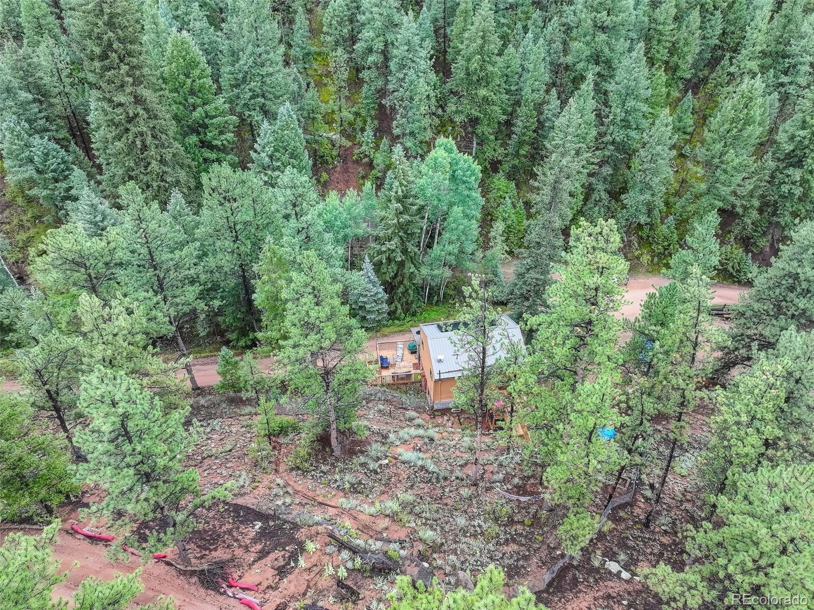 27403 Schuyler Gulch Road Pine, CO 80470 - Photo 15 of 40 a view of a forest with a tree