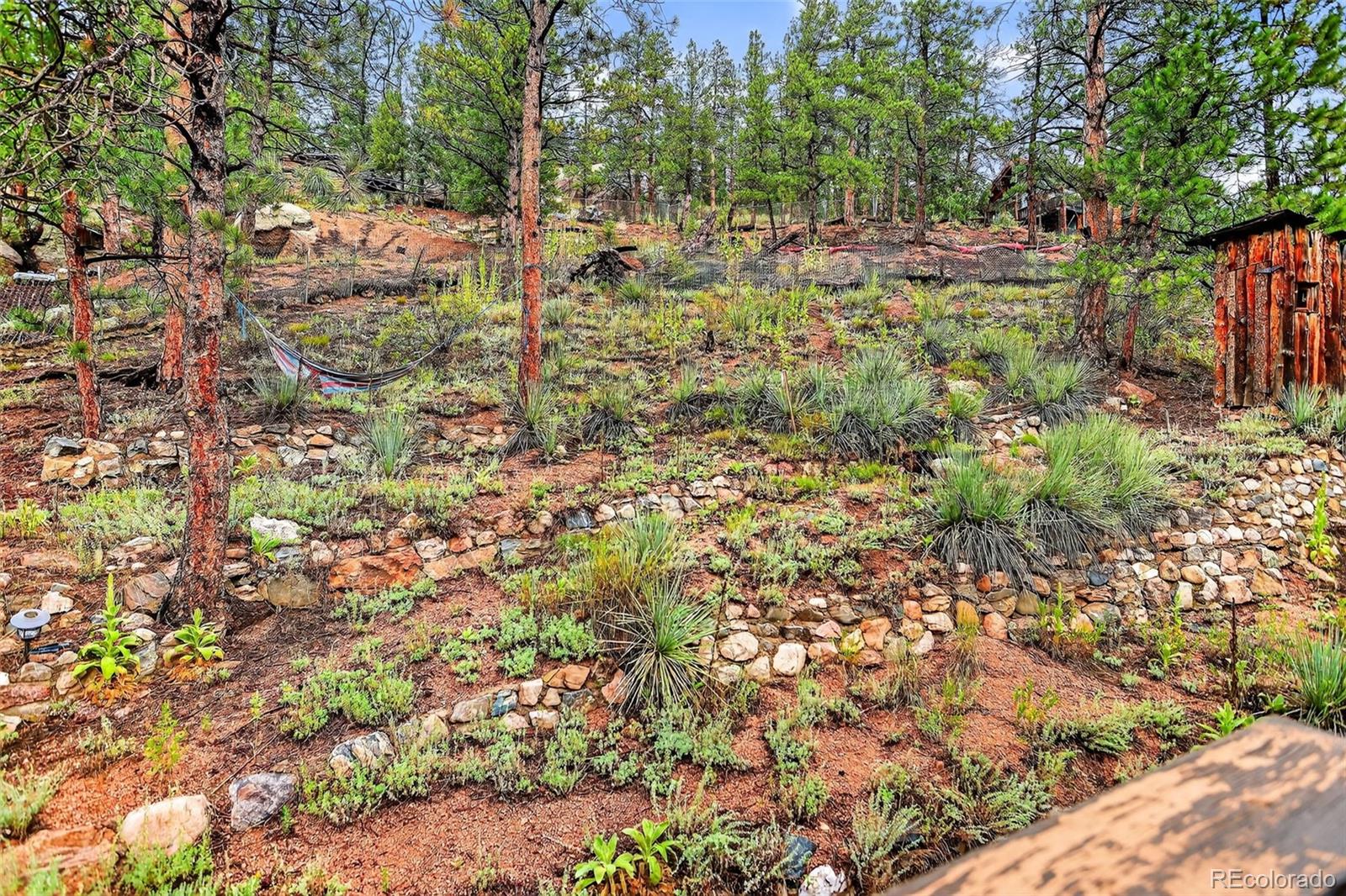 27403 Schuyler Gulch Road Pine, CO 80470 - Photo 35 of 40 a view of outdoor space and a yard
