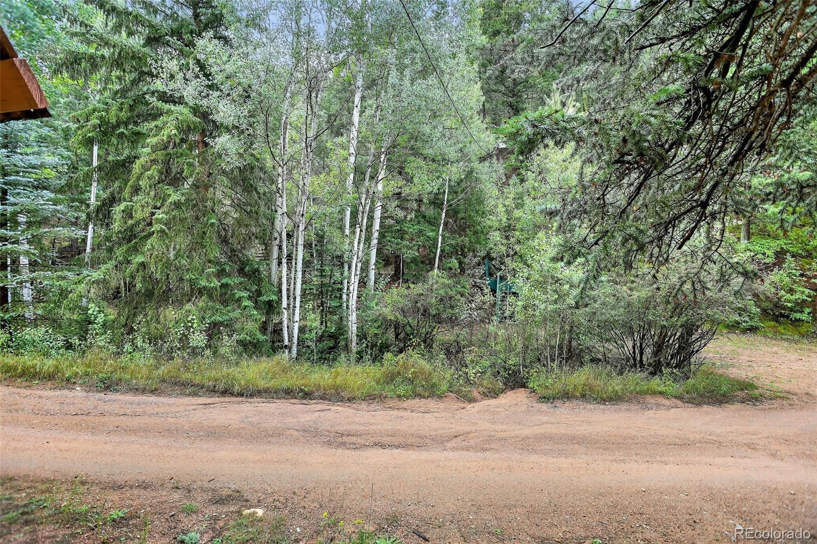 27403 Schuyler Gulch Road Pine, CO 80470 - Photo 39 of 40 a view of a yard with plants and large trees