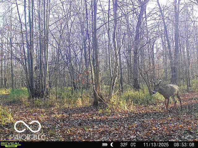 6000 East Block County Rd 1000 North Columbus, IN 47274 - Photo 4 of 4