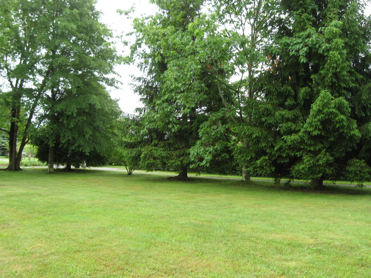 256 Henson Road Crawley, WV 24931 - Photo 22 of 22 front yard