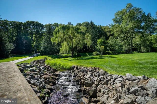 a view of a garden with a tree