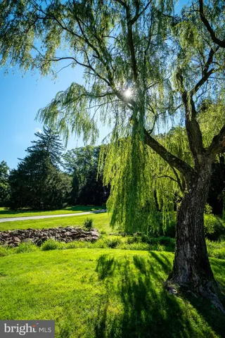 a backyard of a house with lots of green space