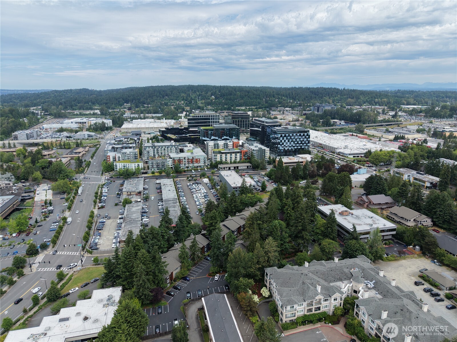 12219 Bel-Red Road, Unit D202 Bellevue, WA 98005 - Photo 13 of 18