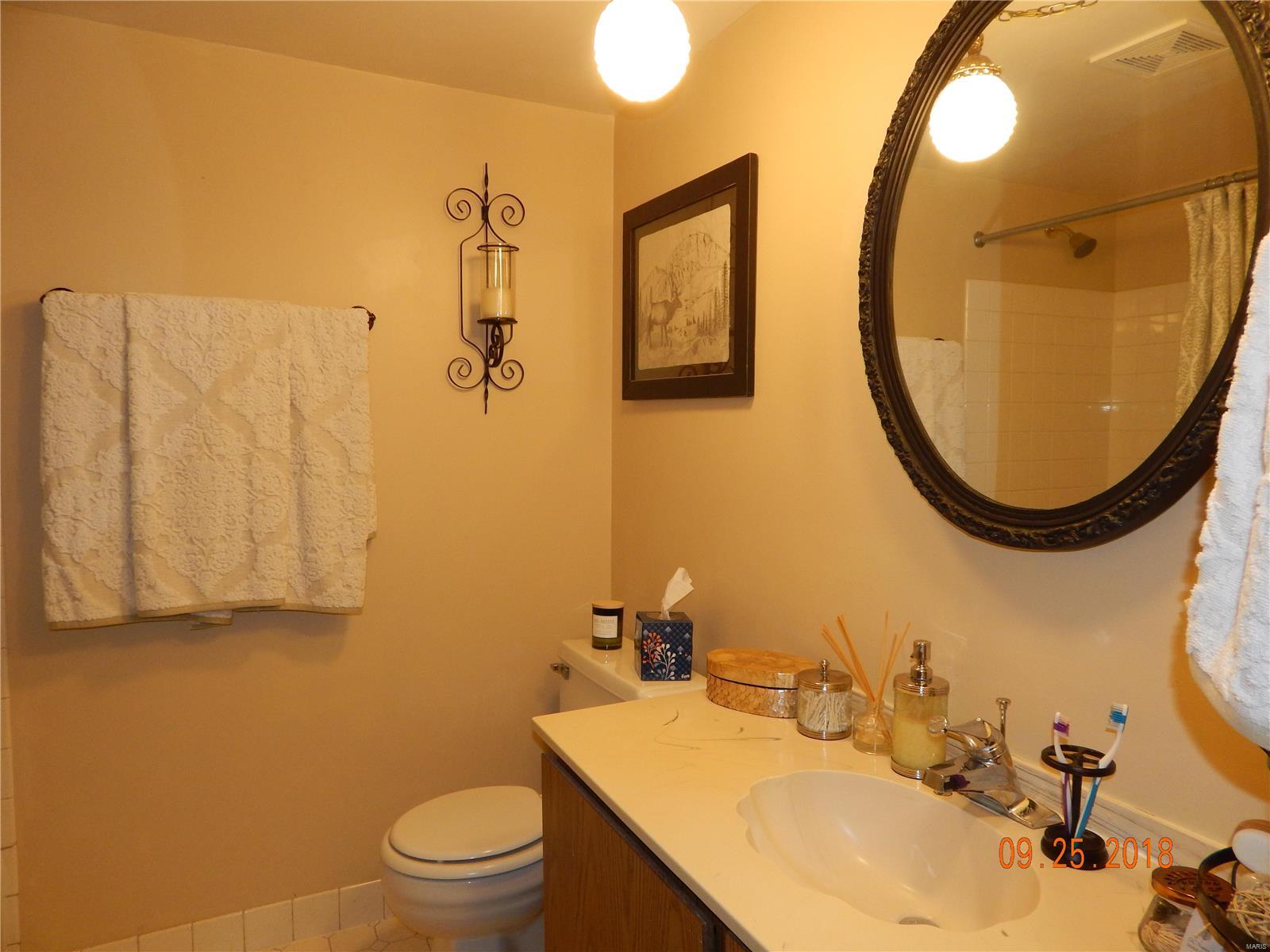 9030 Randolph County Line Road Marissa, IL 62257 - Photo 40 of 61