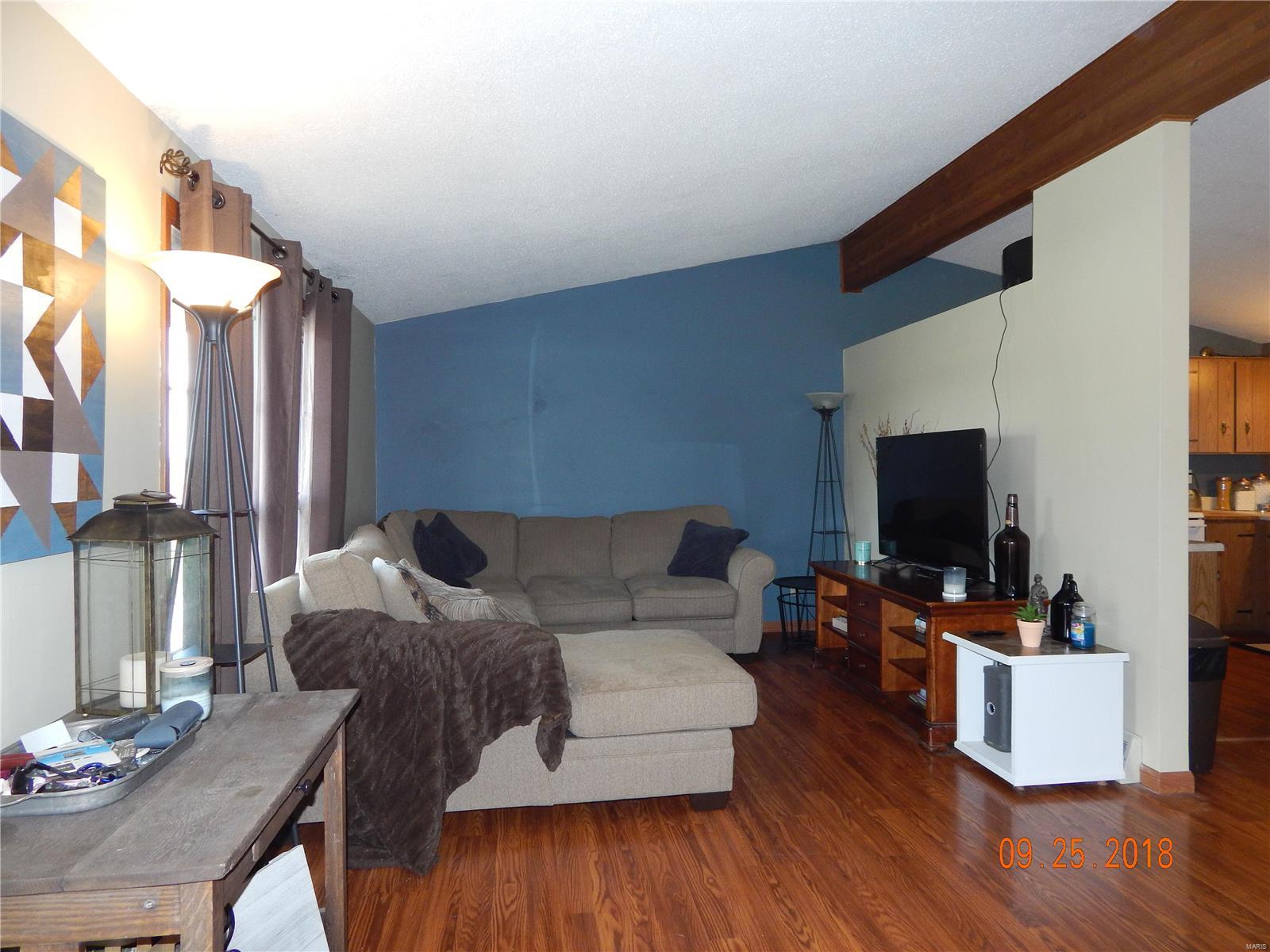 9030 Randolph County Line Road Marissa, IL 62257 - Photo 8 of 61