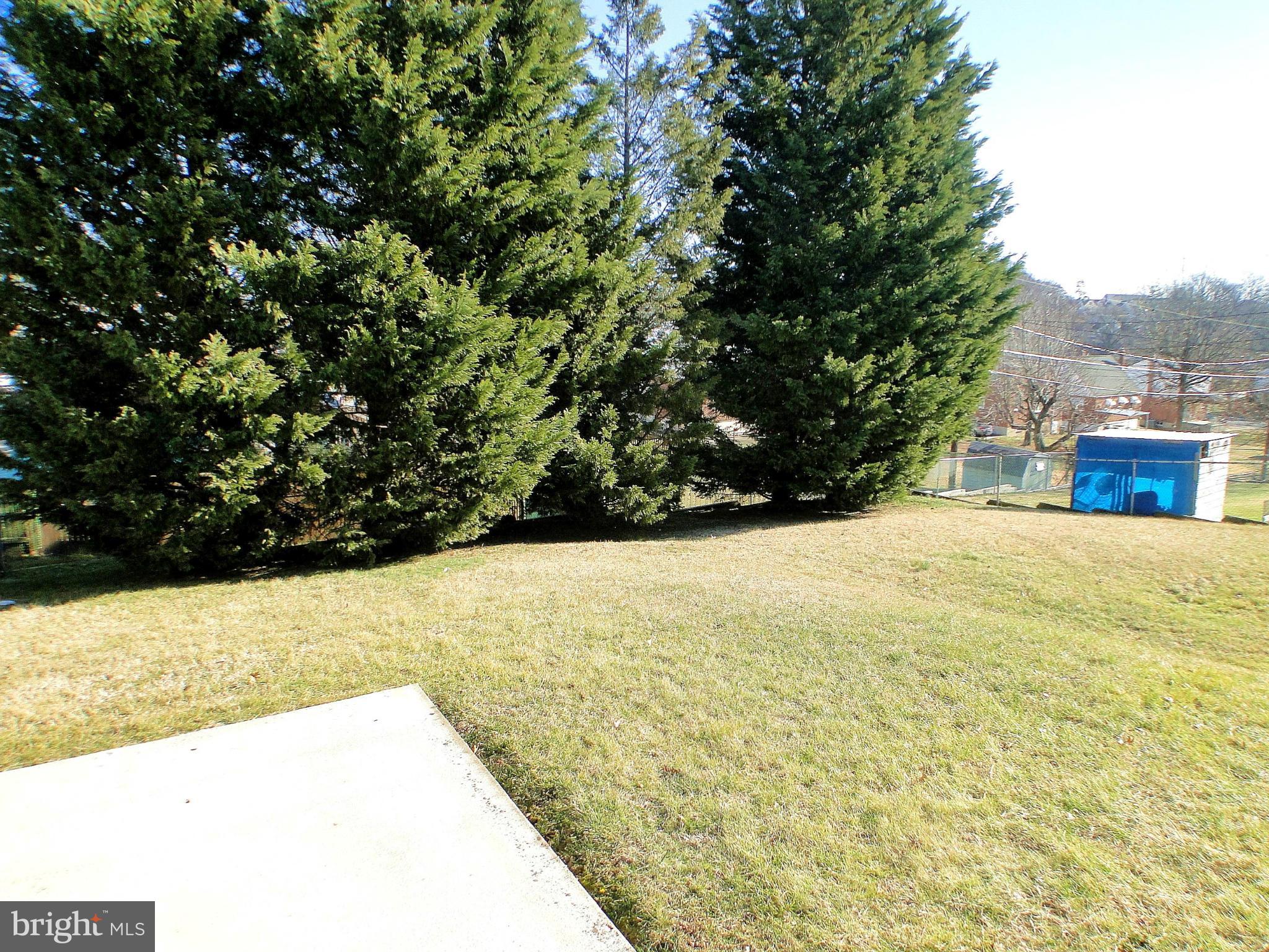 1511 Brian Road Baltimore, MD 21237 - Photo 25 of 30 Spacious Backyard