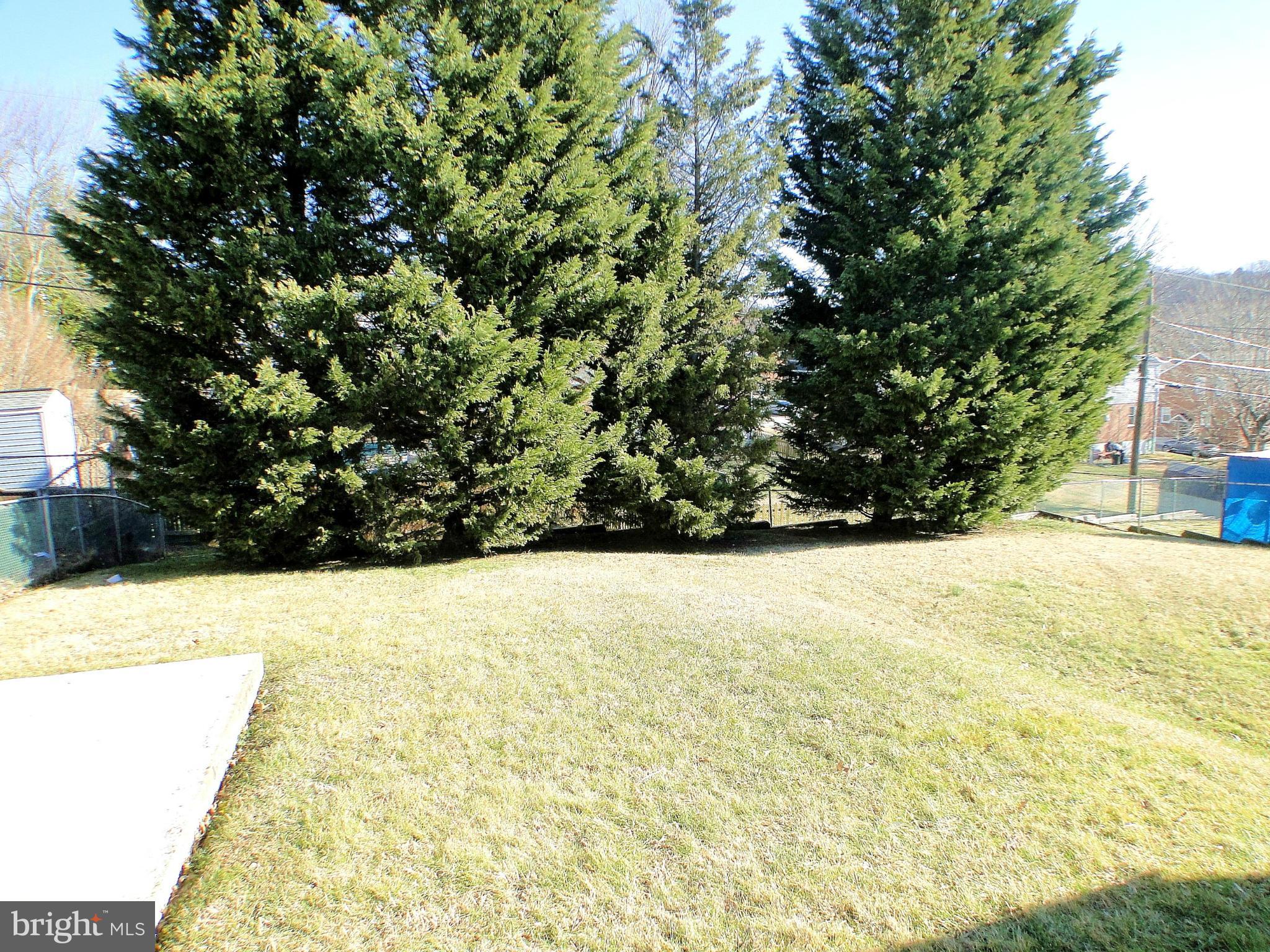 1511 Brian Road Baltimore, MD 21237 - Photo 27 of 30 Spacious Backyard