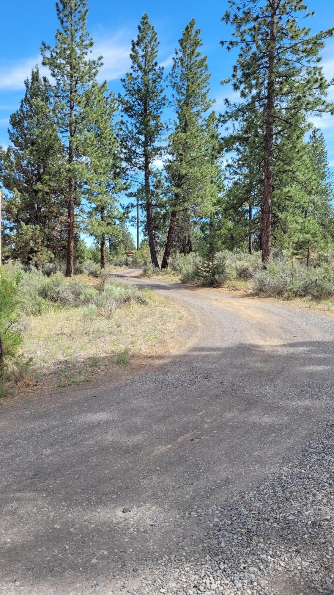 19724 Buck Canyon Road Bend, OR 97702 - Photo 30 of 38 The beautiful mature trees offer a welcome shade.