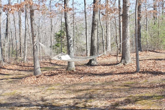 2357 Bybee Road Louisa, VA 23093 - Photo 15 of 15