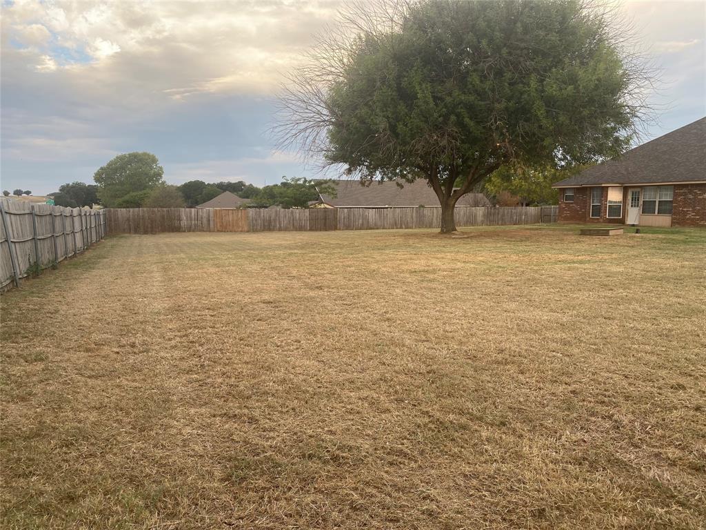 150 Hunters Circle Weatherford, TX 76088 - Photo 24 of 25 a view of lake view