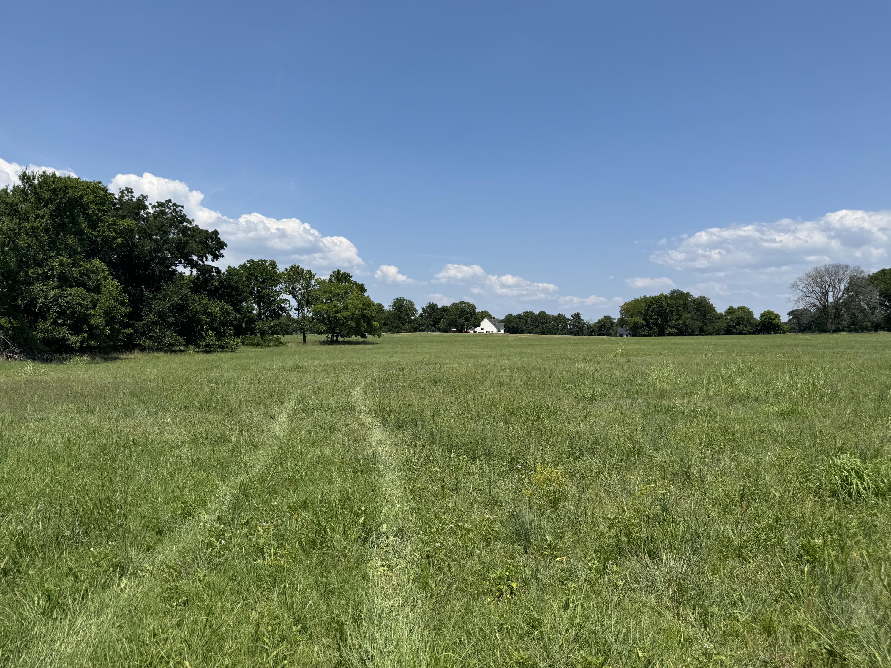 Tbd East 270 Road Grove, OK 74344 - Photo 2 of 14 IMG_0075