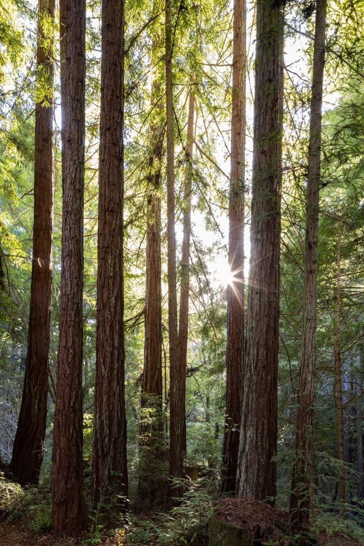 945 Back Ranch Road Santa Cruz, CA 95060 - Photo 15 of 31 Gallery Image 15
