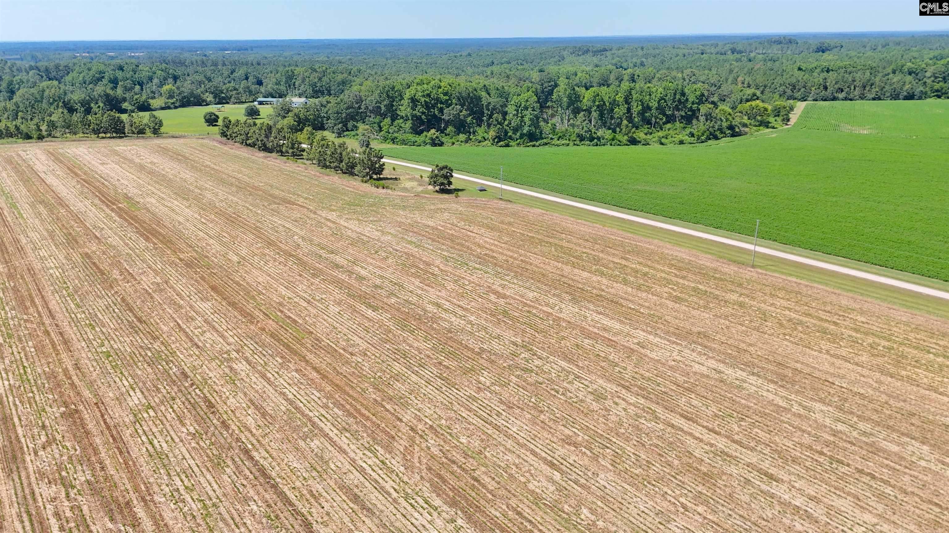 0 Joes Trail Road Monetta, SC 29105 - Photo 8 of 11